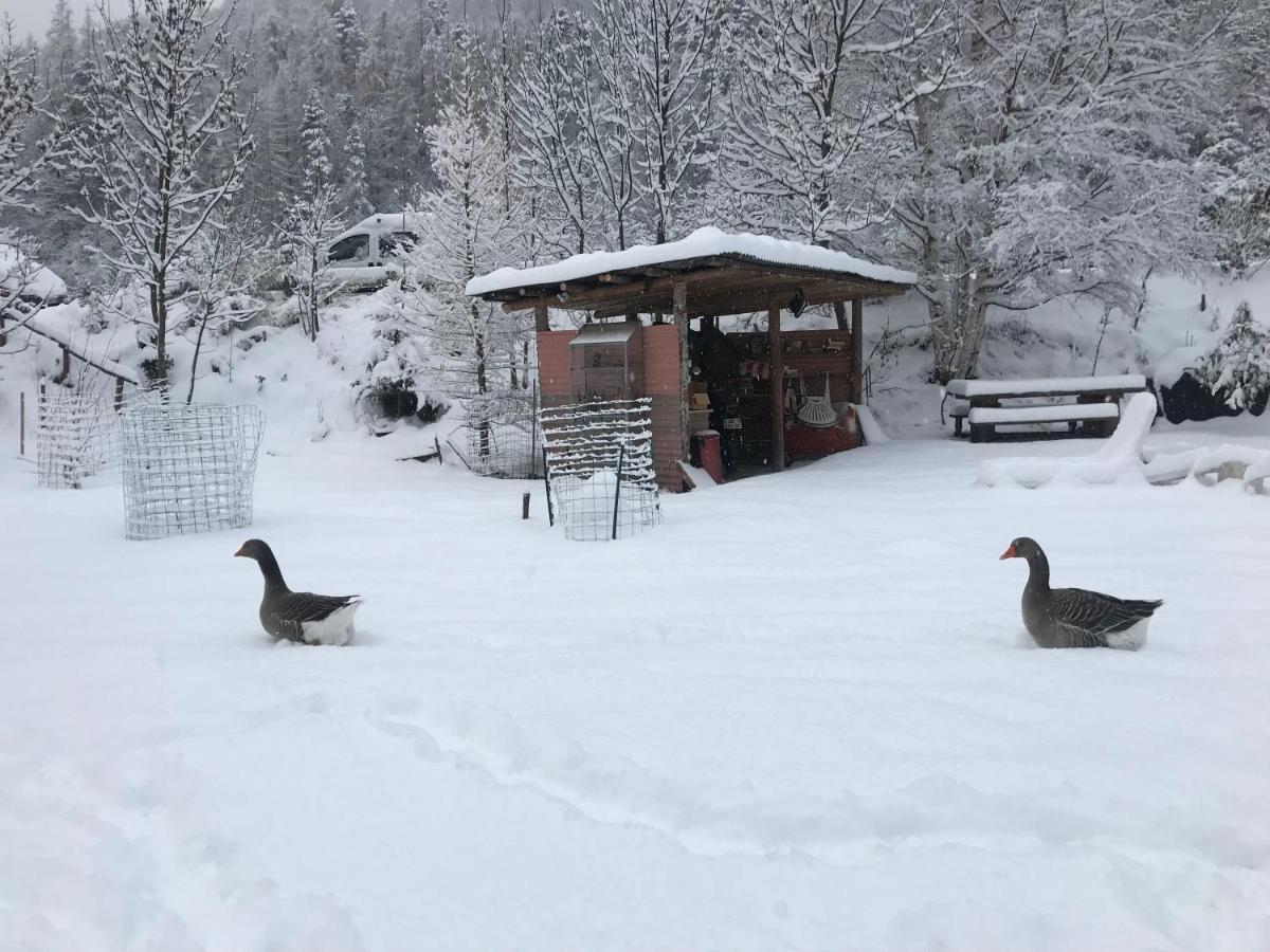 Ferienwohnung La Cerisole Saint-Étienne-de-Tinée Exterior foto