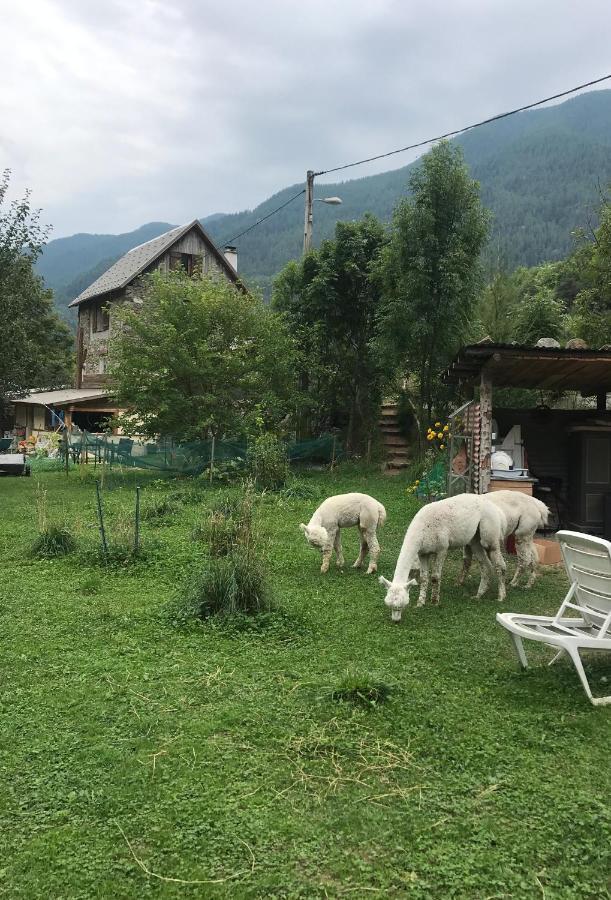 Ferienwohnung La Cerisole Saint-Étienne-de-Tinée Exterior foto