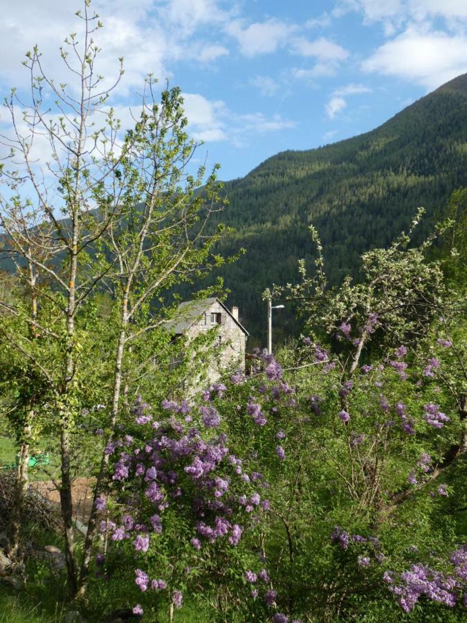 Ferienwohnung La Cerisole Saint-Étienne-de-Tinée Exterior foto